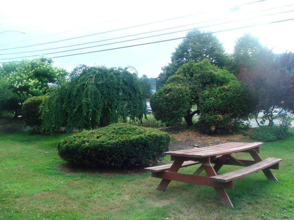 The Black Mountain Inn Brattleboro Bagian luar foto